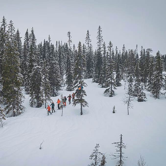 Guidet trugetur
