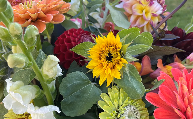 Kurs i blomsterdyrking