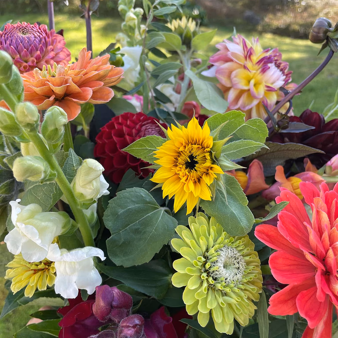 Kurs i blomsterdyrking