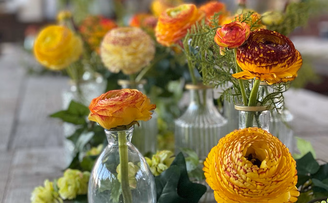Kurs i blomsterdyrking