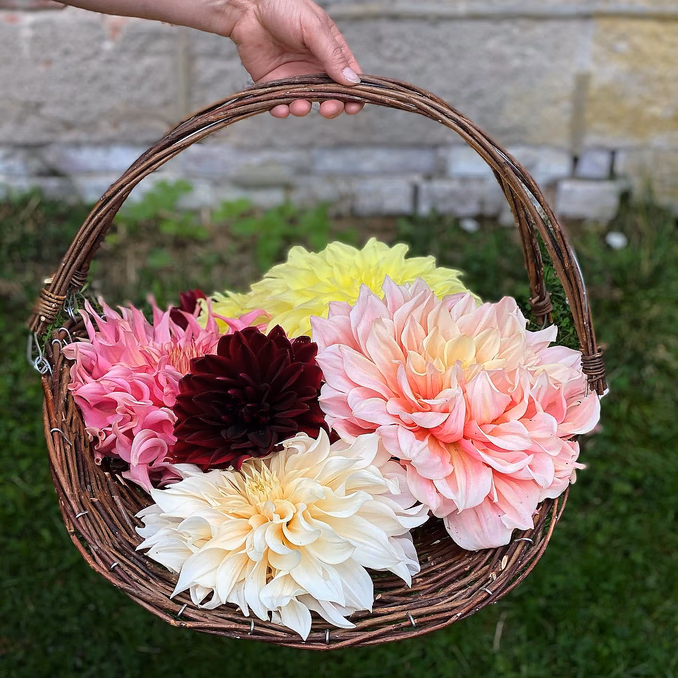 Kurs i blomsterdyrking