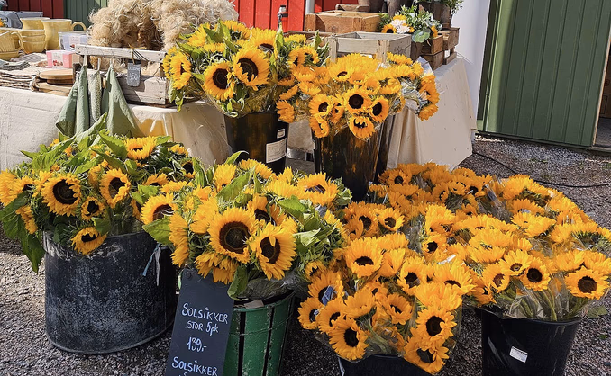 Kurs i blomsterdyrking