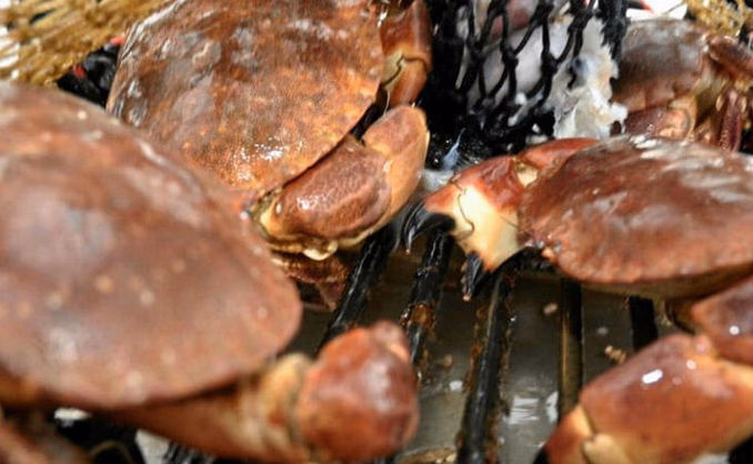 Fisketur med matlaging