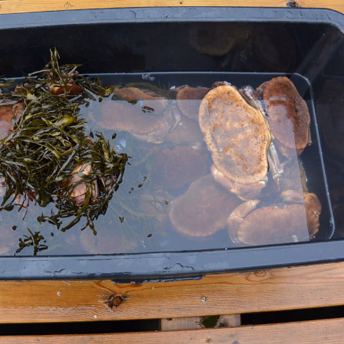 Fisketur med matlaging
