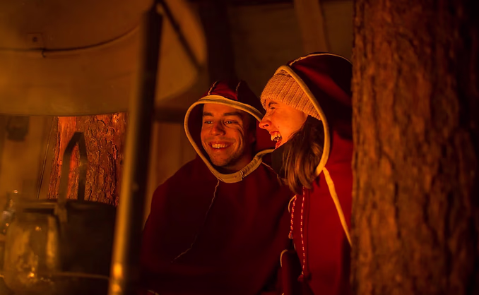 Reinsdyrsafari med middag og nordlys