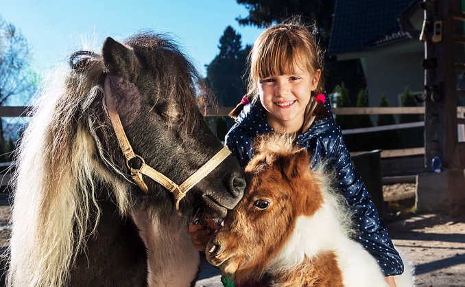 Familiedag i husdyrparken