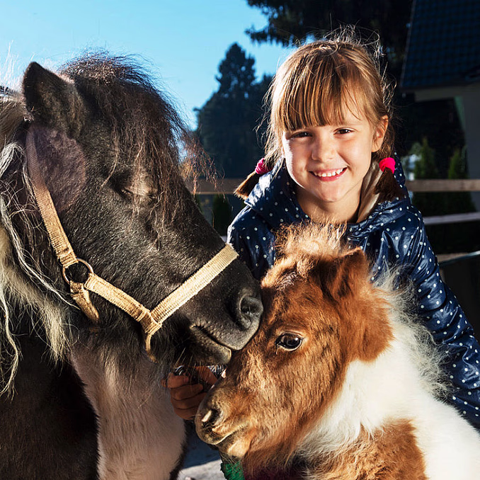 Familiedag i husdyrparken