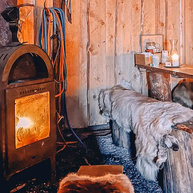 Reinsdyrforing og samisk kultur