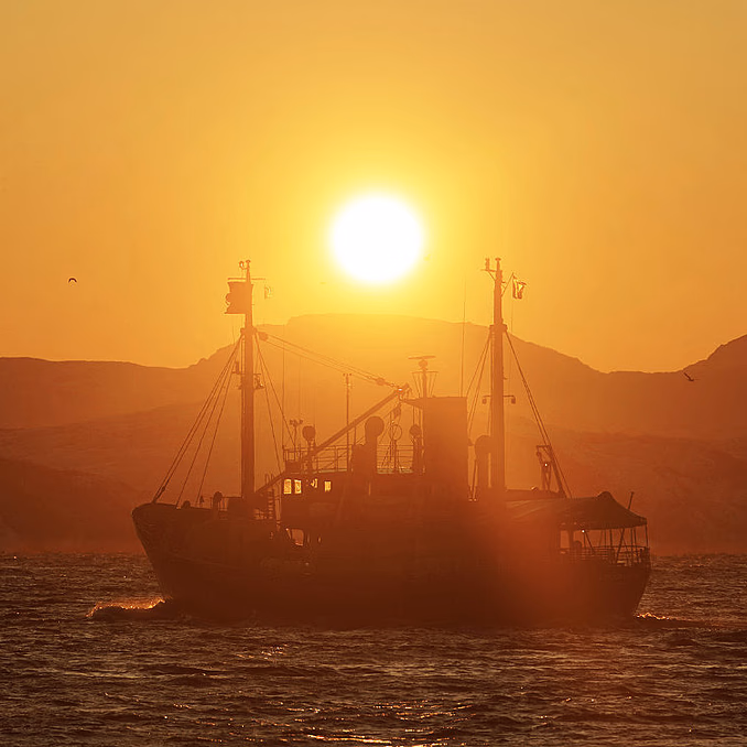 Eagle & Sunset cruise