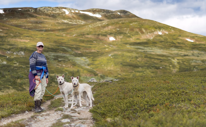 Husky hiking