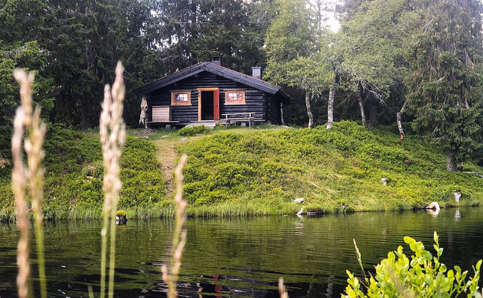 Natt i skogshytta