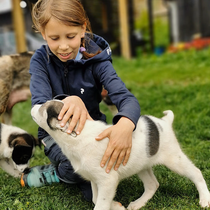 Kennel Husky Besøk