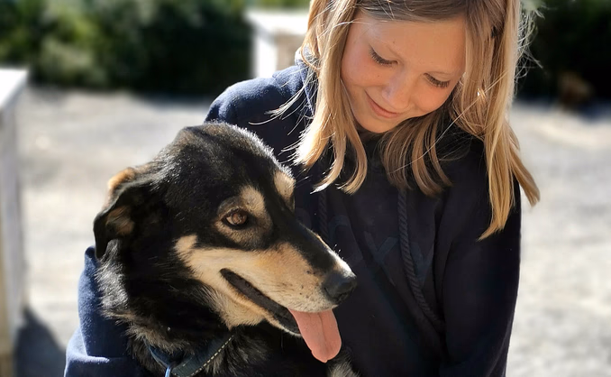 Kennel Husky Besøk