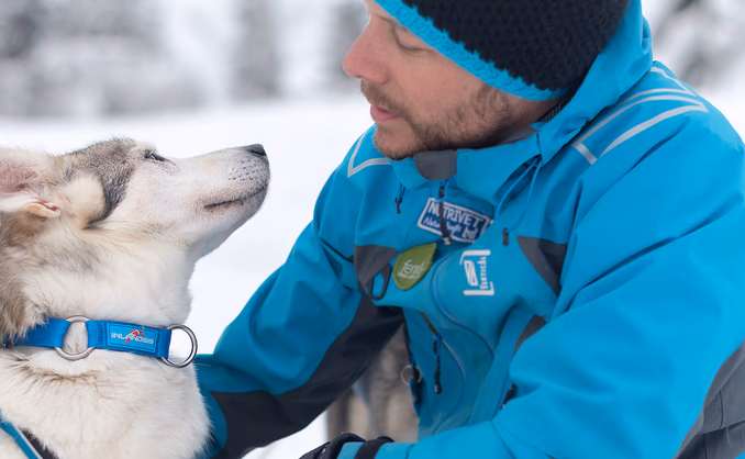 Kennel Husky Besøk