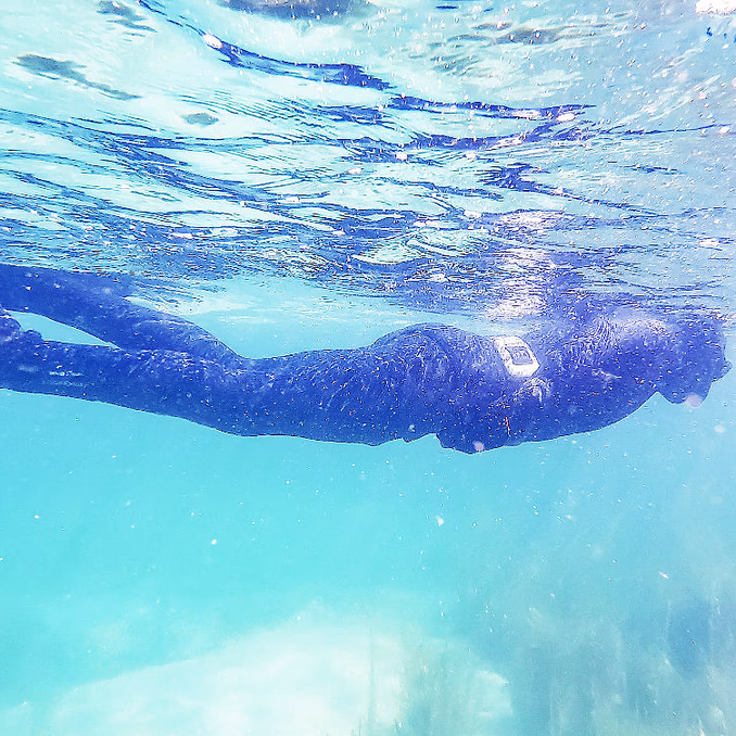 Snorklesafari