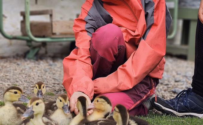 Gårdsbesøk for familien
