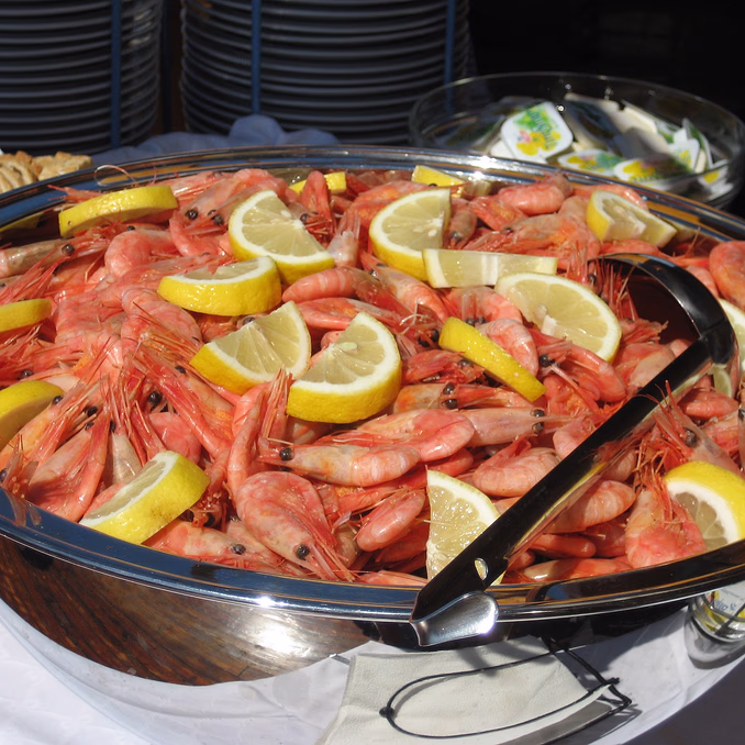 Fjordcruise med rekebuffet