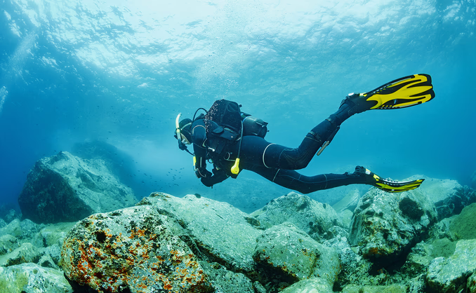 Dykking med divemaster