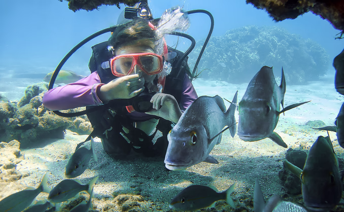 Dykkesafari for barn