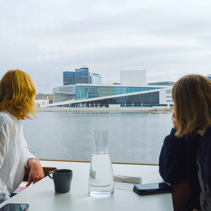 Oslofjorden silent cruise