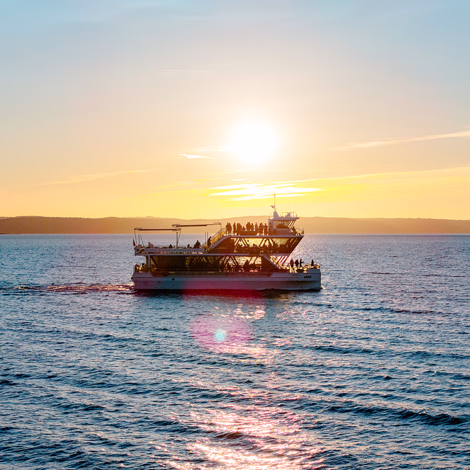 Oslofjorden silent cruise