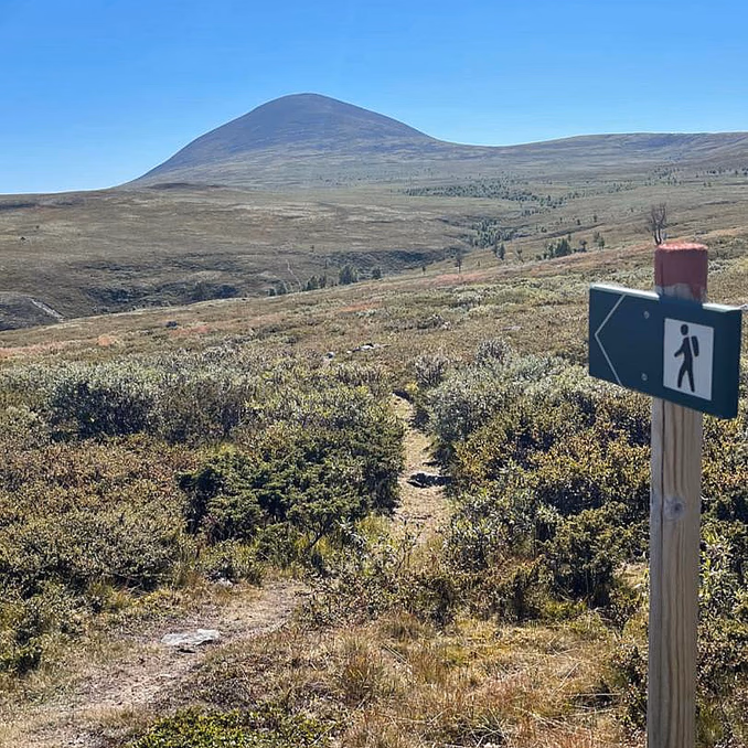 Guidet hiking tour til Geitefjellet