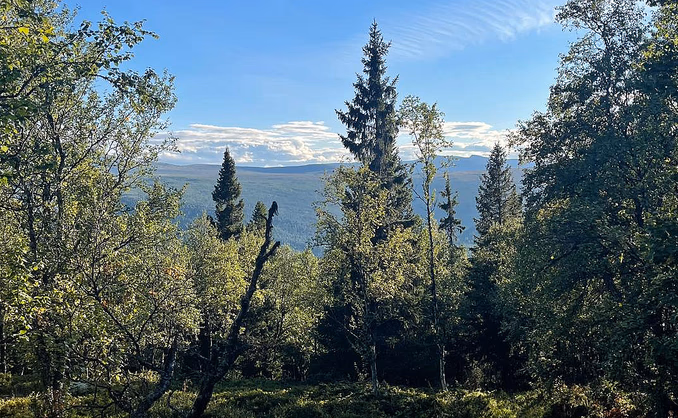 Guidet hiking tour til Geitefjellet