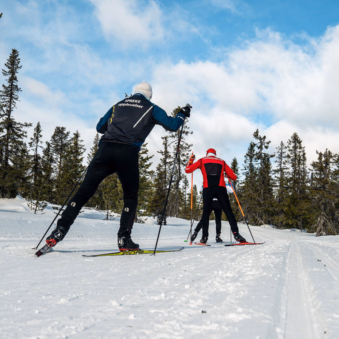 Skikurs privattime