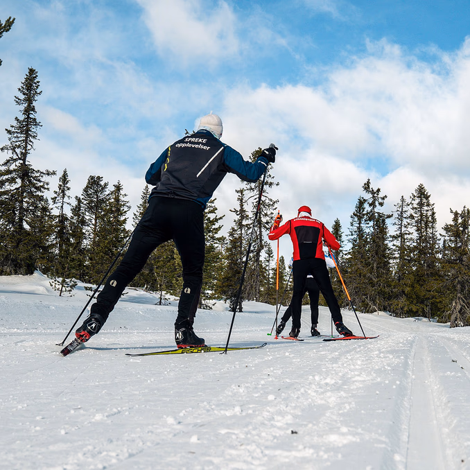 Skikurs privattime