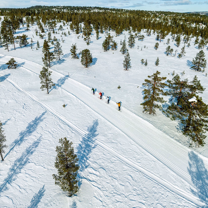 Skikurs privattime