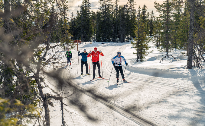 Skikurs privattime