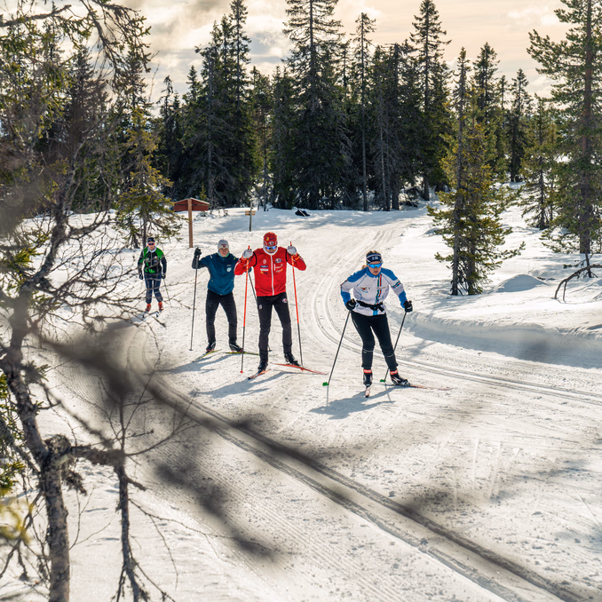 Skikurs privattime