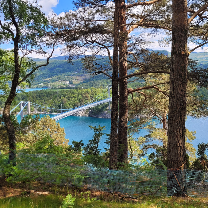 Diamant Panoramahytta