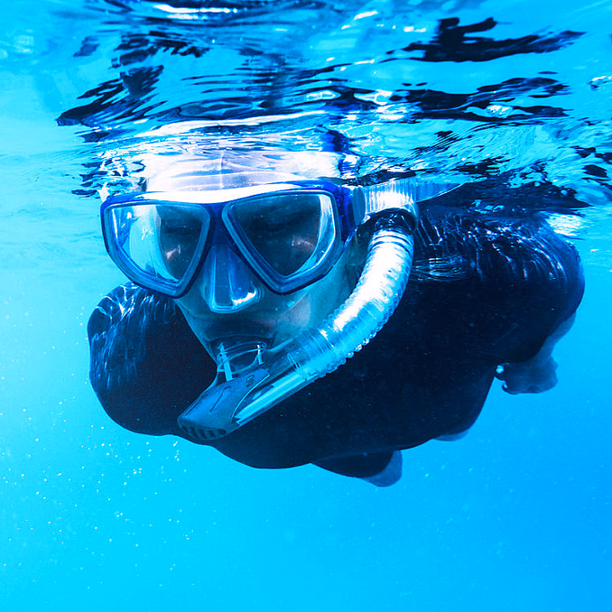 Snorkling i Lofoten