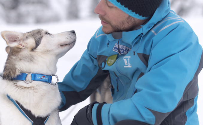 Hundekjøring med kennelbesøk