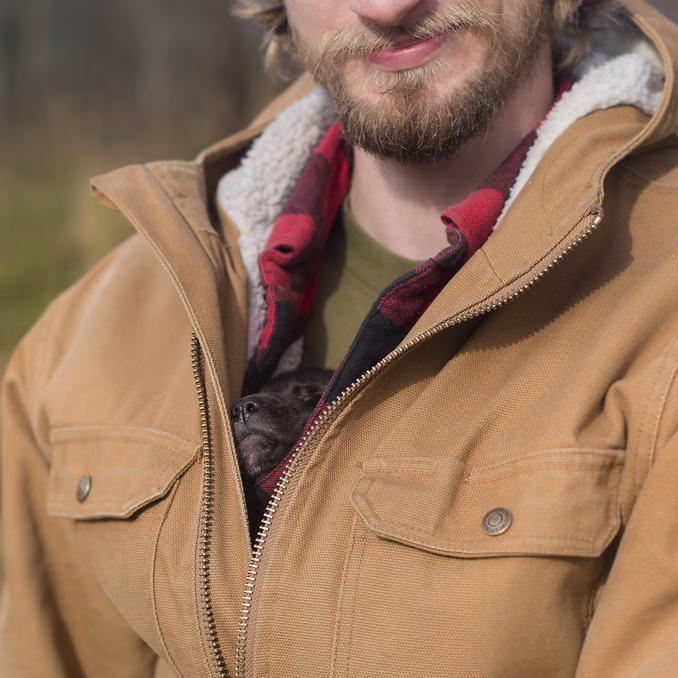 Hundekjøring med kennelbesøk