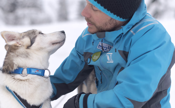 Hundekjøring, kennelbesøk og overnatting