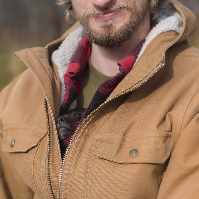 Hundekjøring, kennelbesøk og overnatting