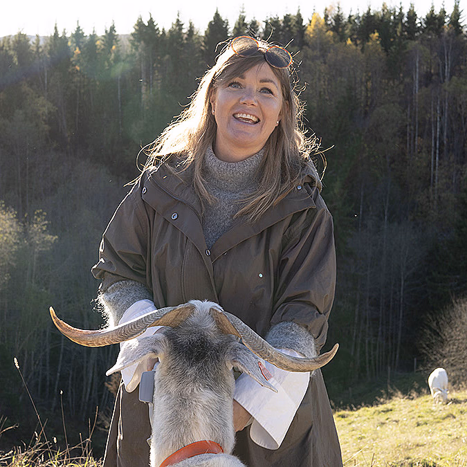 Geitevandring for to