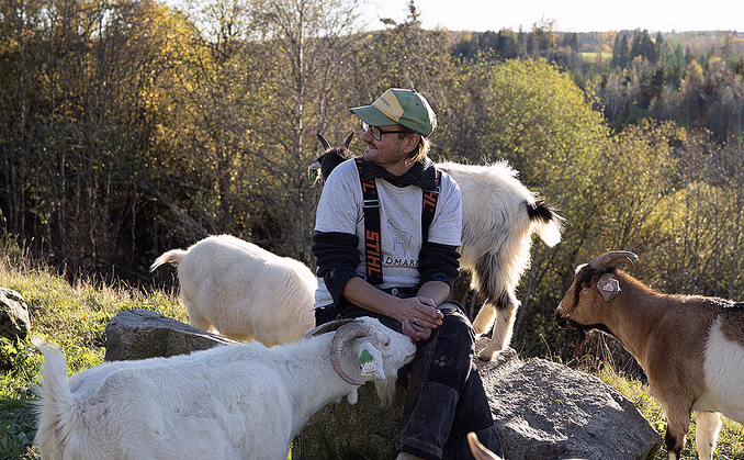 Geitevandring for to