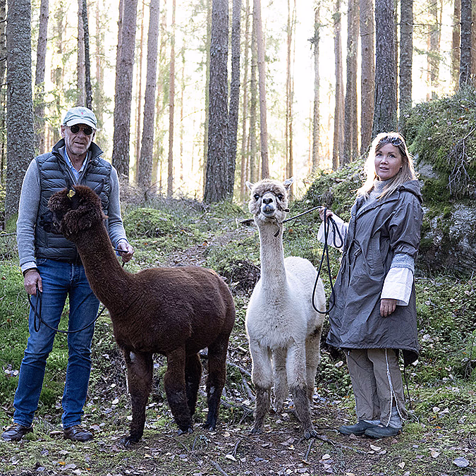 Alpakkavandring for to