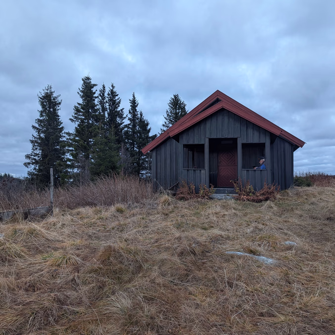 Hundekjøring, kennelbesøk og overnatting