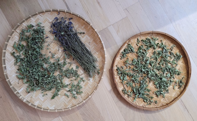 Sankekurs av urter og spiselige blomster
