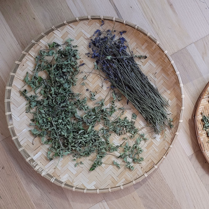 Sankekurs av urter og spiselige blomster