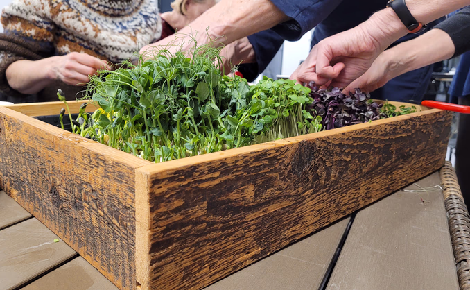 Kurs i hjemmedyrking