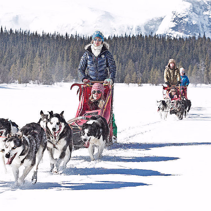 Hundekjøring deluxe