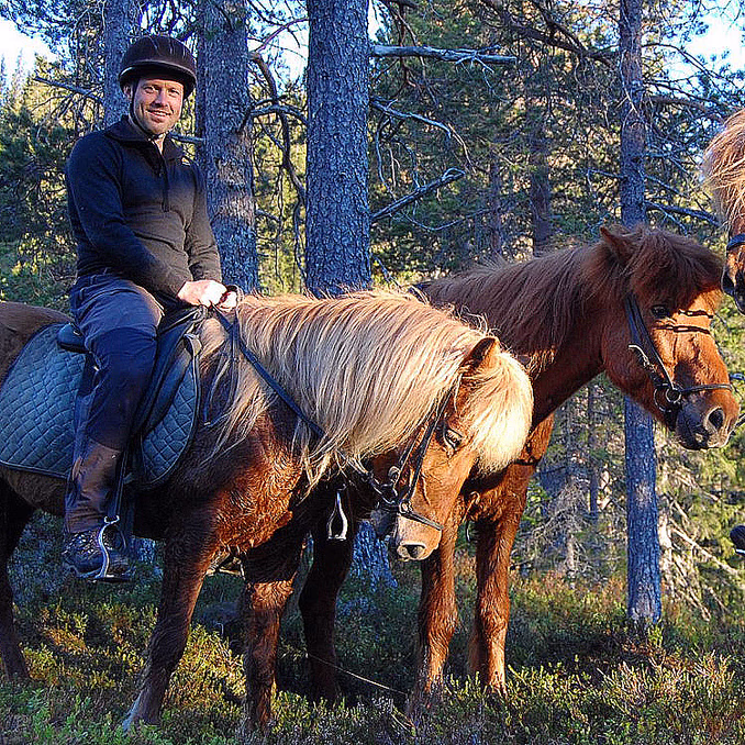 Halvdagstur på islandshest