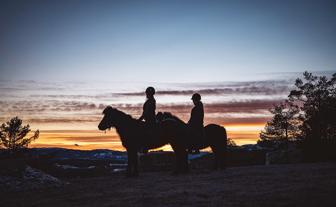 Halvdagstur på islandshest