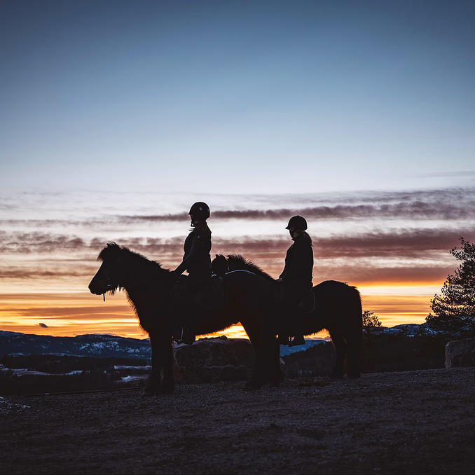 Halvdagstur på islandshest