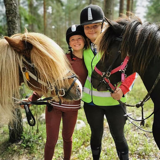 Halvdagstur på islandshest